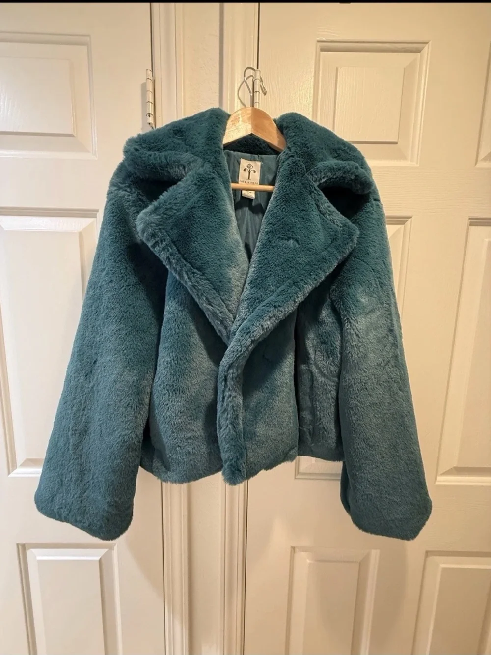 Faux Fur Hooded Jacket in Teal